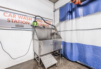 Dog wash station